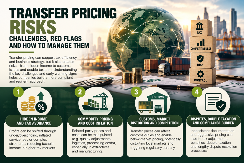 Transfer Pricing Risks